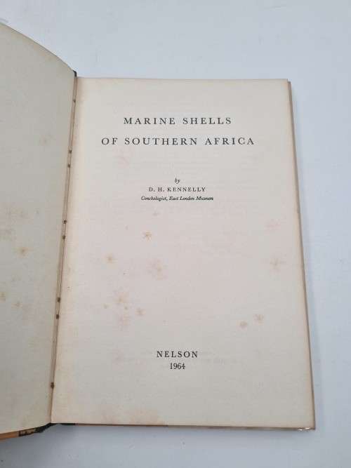 Marine Shells of Southern Africa by DH Kennelly