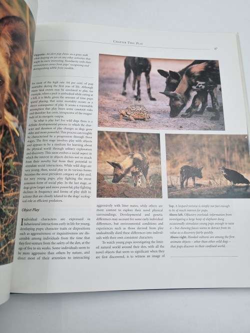 Running Wild - Helene Heldring and Dave Hamman | Dispelling the Myths of the Wild Dog