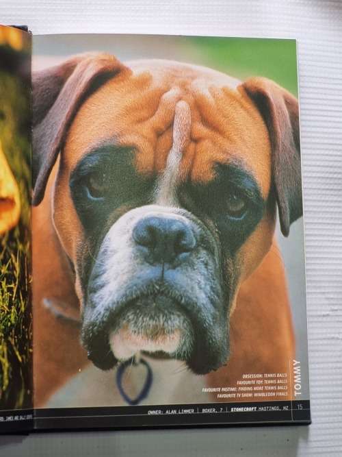Wine Dogs - McGill Elliott | Deluxe Edition | The Dogs of Australasian Wineries