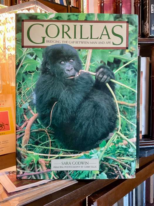 Gorillas by Sara Godwin and Gerry Ellis | Bridging the Gap Between Man and Ape