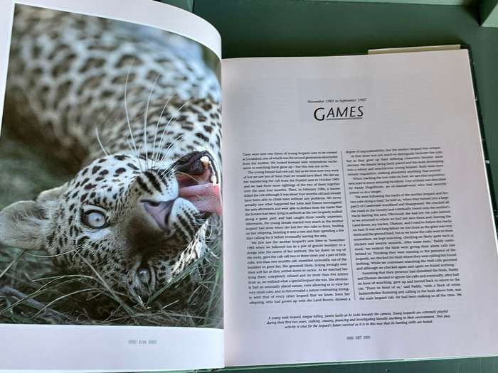 The Leopards of Londolozi by Lex Hes