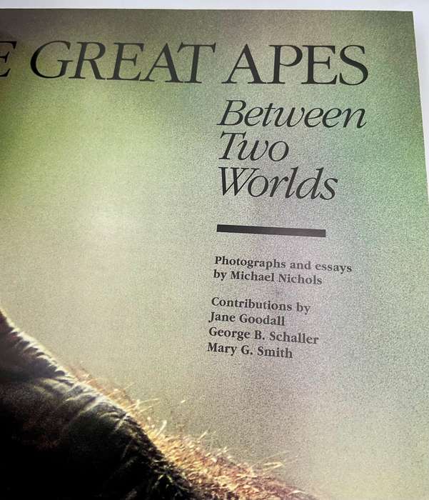 The Great Apes Between Two Worlds  ~ Michael Nichols Deluxe Edition | National Geographic Book