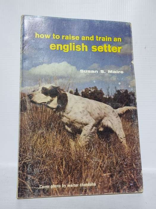 How to Raise and Train an English Setter - Susan S Maire