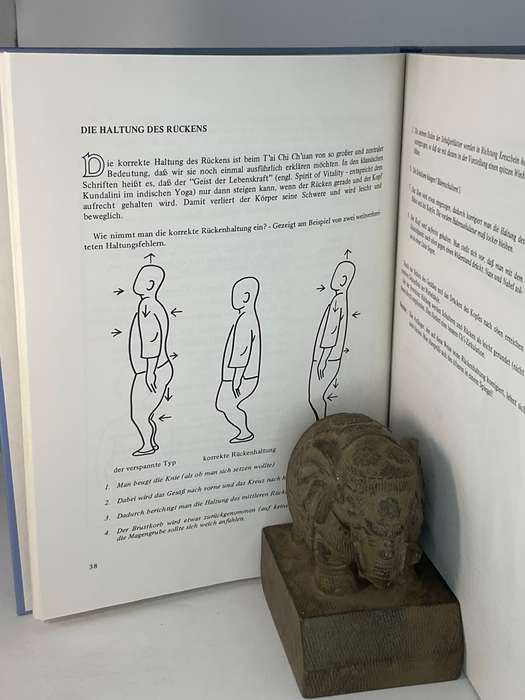 T'ai Chi Ch'uan Ein praktisches Handbuch zum Selbststudium | Tai Chi Chuan - Toyo & Petra Kobayashi