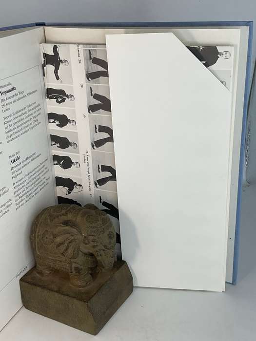T'ai Chi Ch'uan Ein praktisches Handbuch zum Selbststudium | Tai Chi Chuan - Toyo & Petra Kobayashi