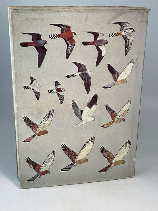 Birds of Prey of Southern Africa - Peter Steyn | Signed