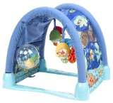 Fisher-Price Ocean Wonders Kick & Crawl Aquarium Gym - FREE SHIPPING