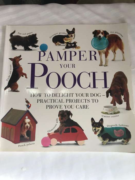 Pamper your Pooch