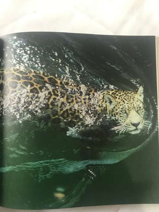 The living Planet  David Attenborough