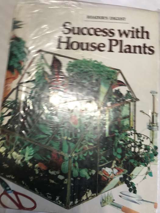 Success with Household Plants  Readers Digest