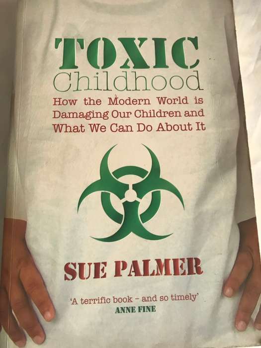 TOXIC Childhood How the modern world  is Damaging our children and What we can do about it