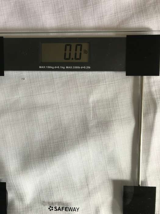Glass scale