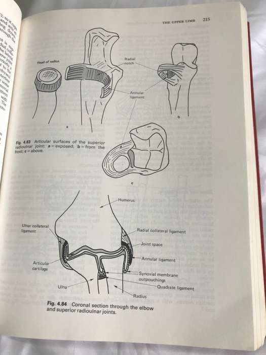 Anatomy and Human Movement *Structure and Function *  891 pages