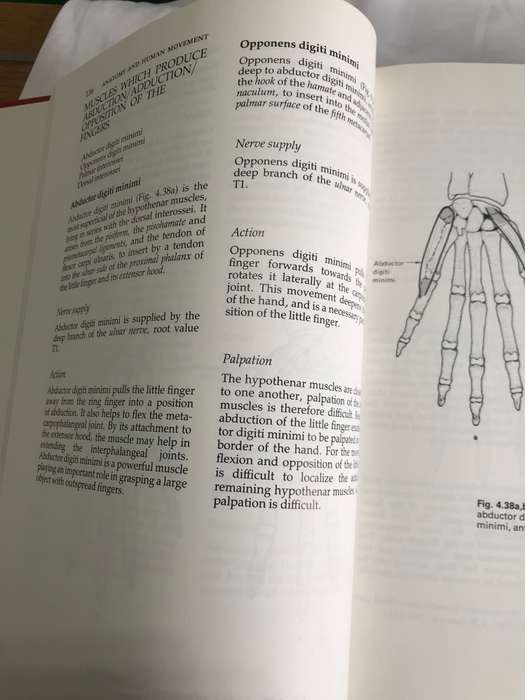 Anatomy and Human Movement *Structure and Function *  891 pages