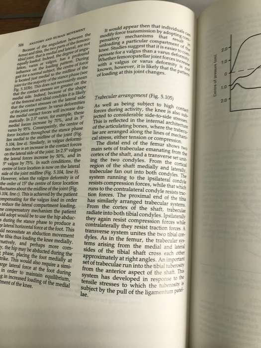 Anatomy and Human Movement *Structure and Function *  891 pages