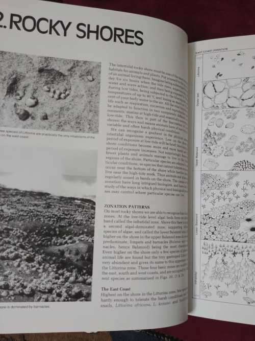 The Living Shores of Southern Africa