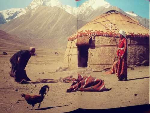 Oriental Rugs - An Introduction