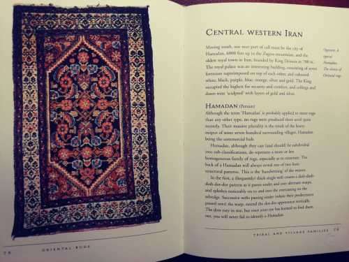 Oriental Rugs - An Introduction