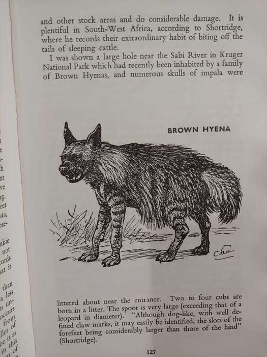 Animals Of Rhodesia