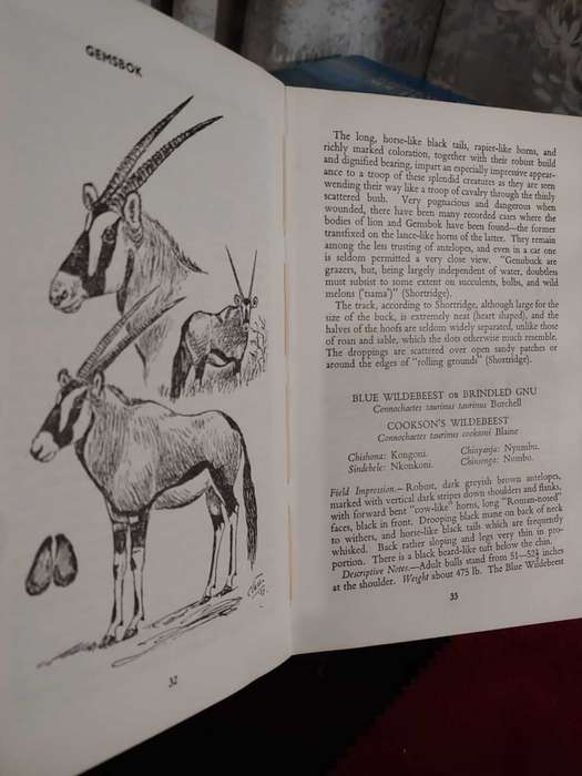 Animals Of Rhodesia
