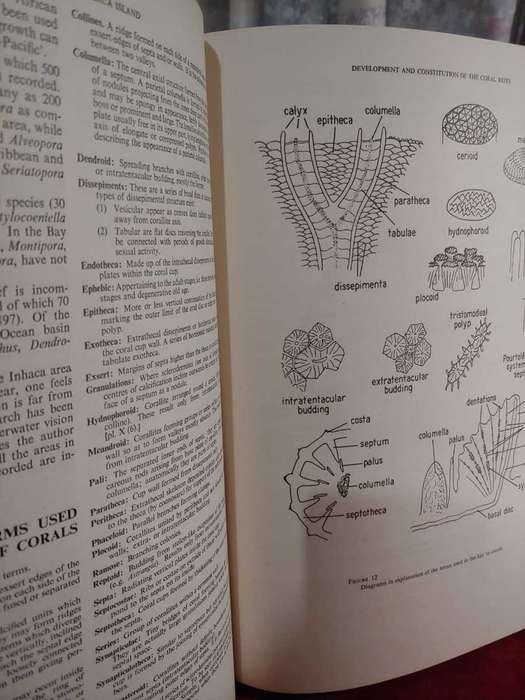 A Natural History of Inhaca Island, Mocambique