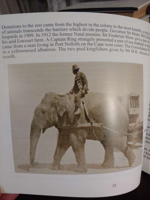 A History of Mitchell Park and Jameson Park and The Zoological Gardens, Durban