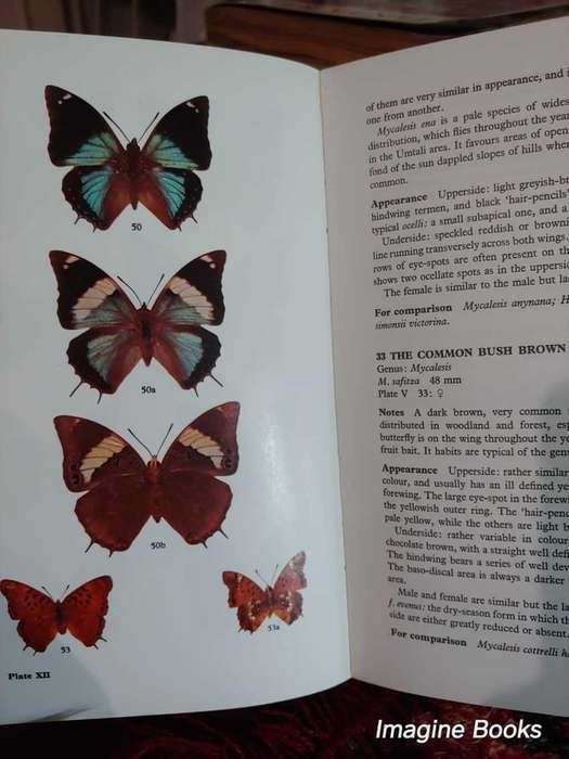 Butterflies of Rhodesia