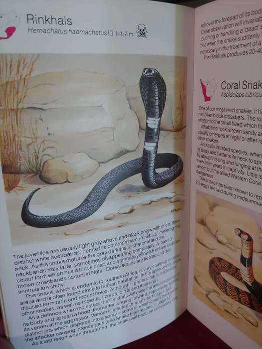 Snakes - Southern Africa - Pocket Guide