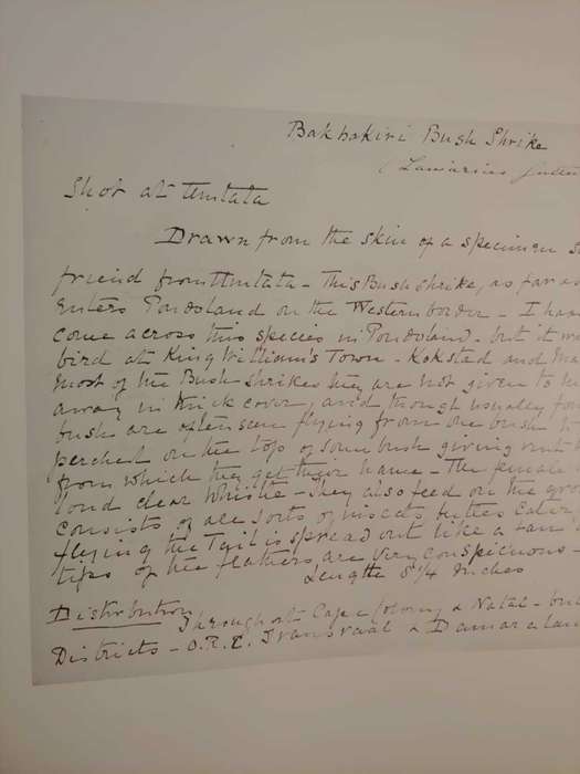 Claude Gibney Finch-Davies 1875-1920 - The Biography of