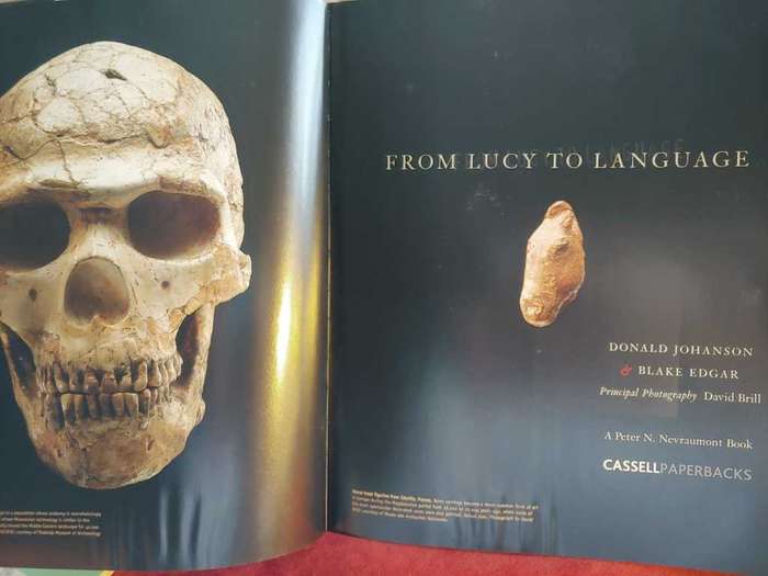 From Lucy To Language - Anthropology
