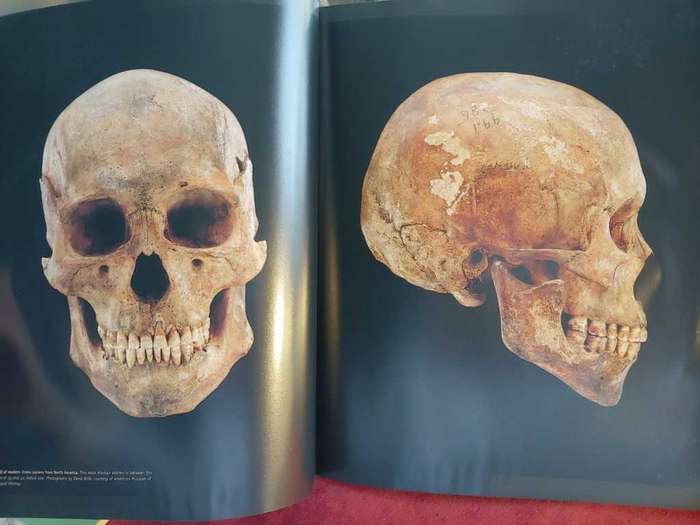 From Lucy To Language - Anthropology