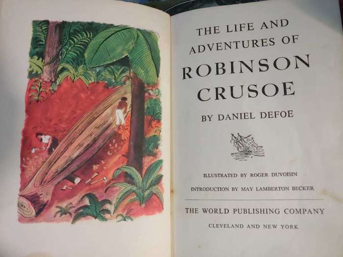 Robinson Crusoe - Life and Adventures