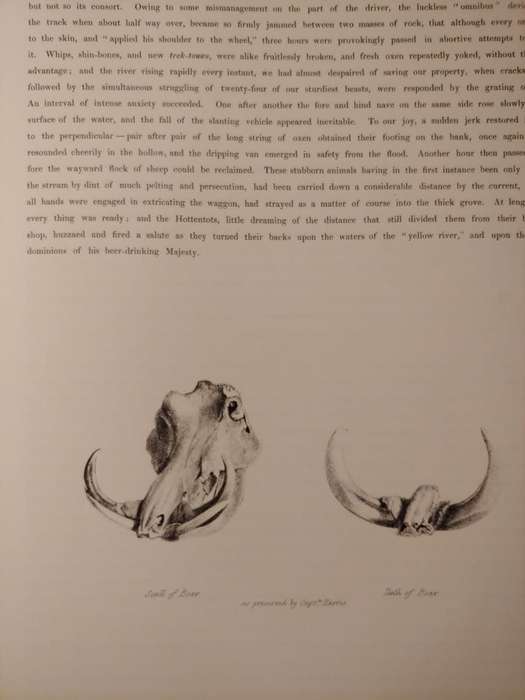 Portraits of the Game and Wild Animals of Southern Africa - Cornwallis Harris