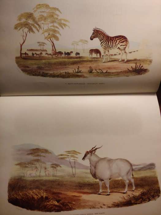 Portraits of the Game and Wild Animals of Southern Africa - Cornwallis Harris