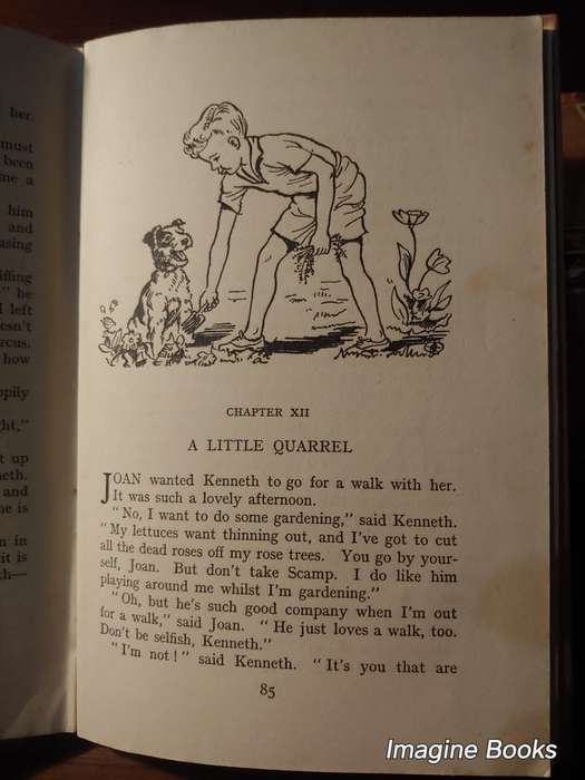 The Adventures of Scamp - Enid Blyton