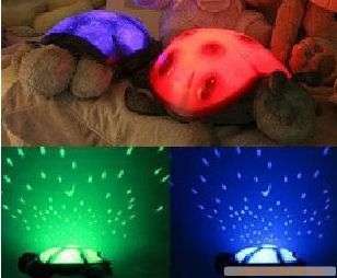 Neux turtle 