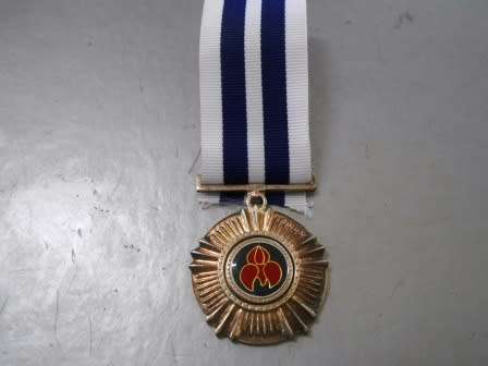 Pro Merito Full Size Medal