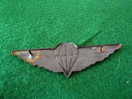 Ciskei Defence Force Parachute Wing - Fill Size