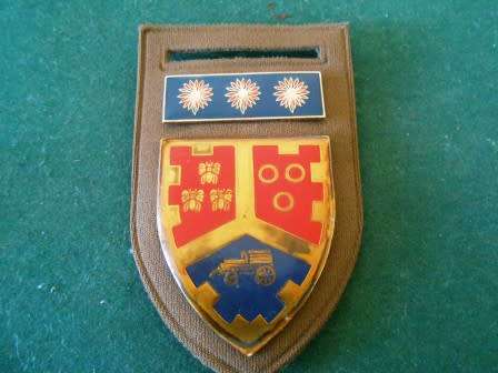 University Of Pretoria Military Shoulder Flash & Formation Bar