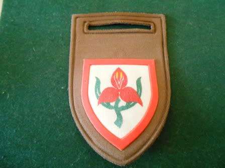 SA Military Academy Nutria Shoulder Flash