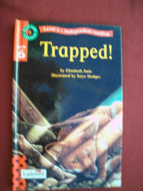 Book - Read with Ladybird - Level 4 Book 6