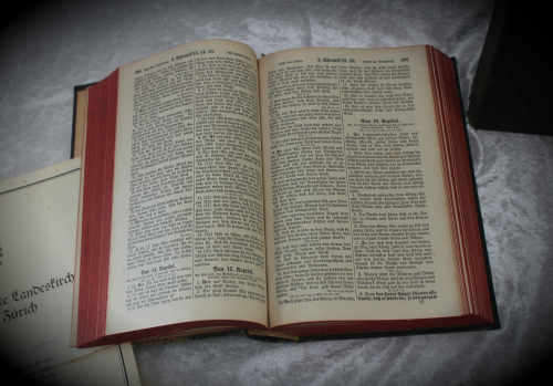 Vintage 1951 Dr.Martin Luthers Gerrman Bible Old and New Testaments in Sleeve - 278x145x45mm