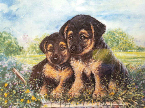 1995 Royal Albert Plate 'Playful Puppies 'Origanal Artwork By David Ward