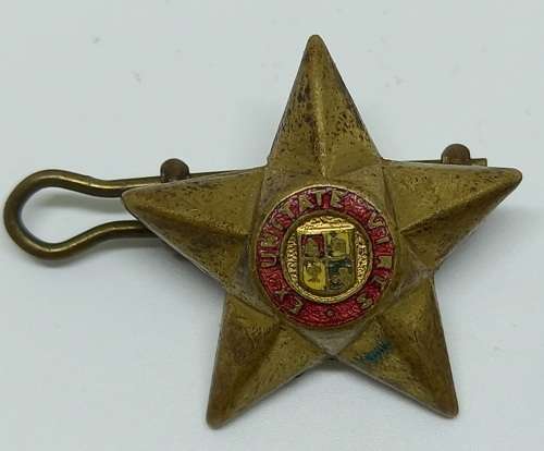 WWII EX UNITATE VIRES Badge25x25mm