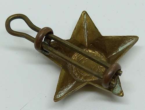 WWII EX UNITATE VIRES Badge25x25mm