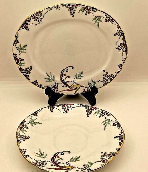Vintage Paragon Trio Bone China -(Cup have hairline crack and stained )