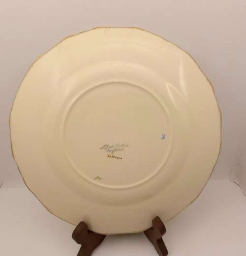Vintage Alfred Meakin `Cascadia` Plate 230mm England