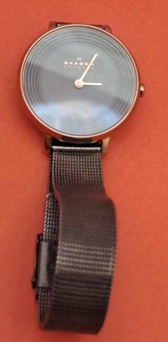 Pre-Owned Ladies Skagen -Denmark Fashion Quartz watch   -Working