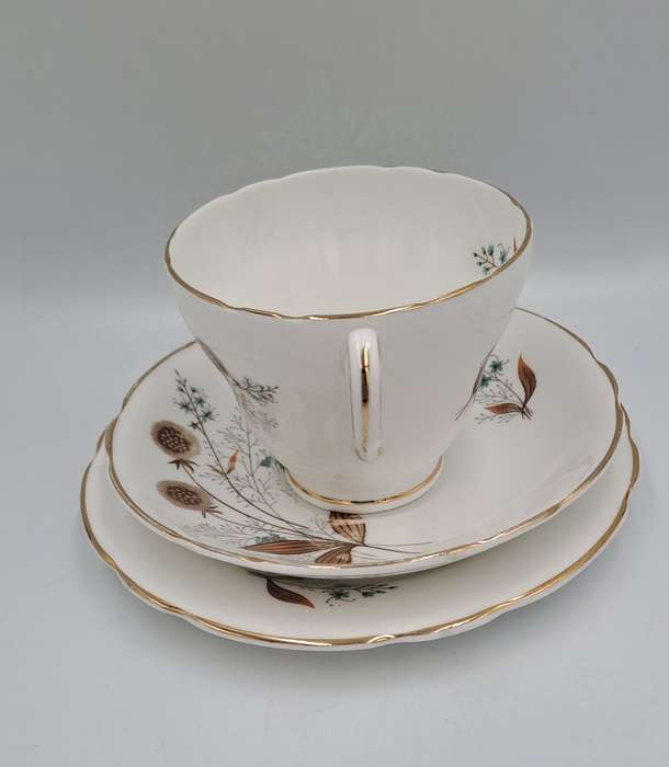 21 pc Vintage Regency Bone China Tea set with 6 Trio`s- Made in England