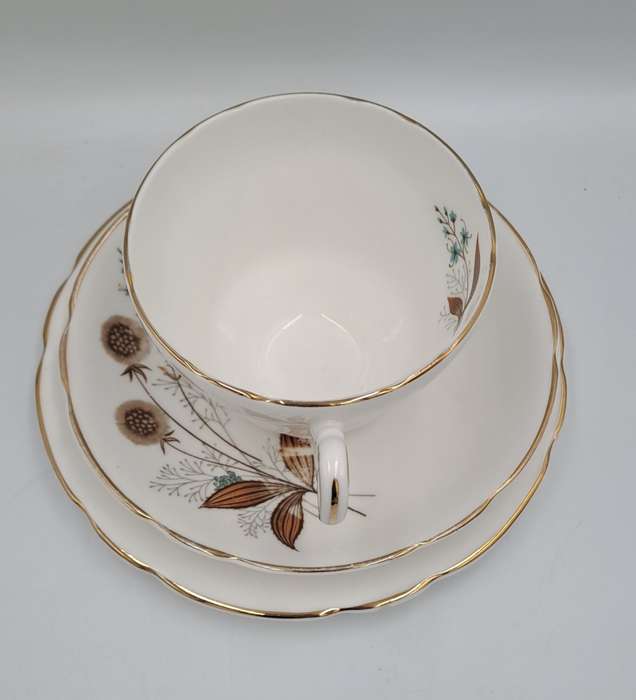21 pc Vintage Regency Bone China Tea set with 6 Trio`s- Made in England